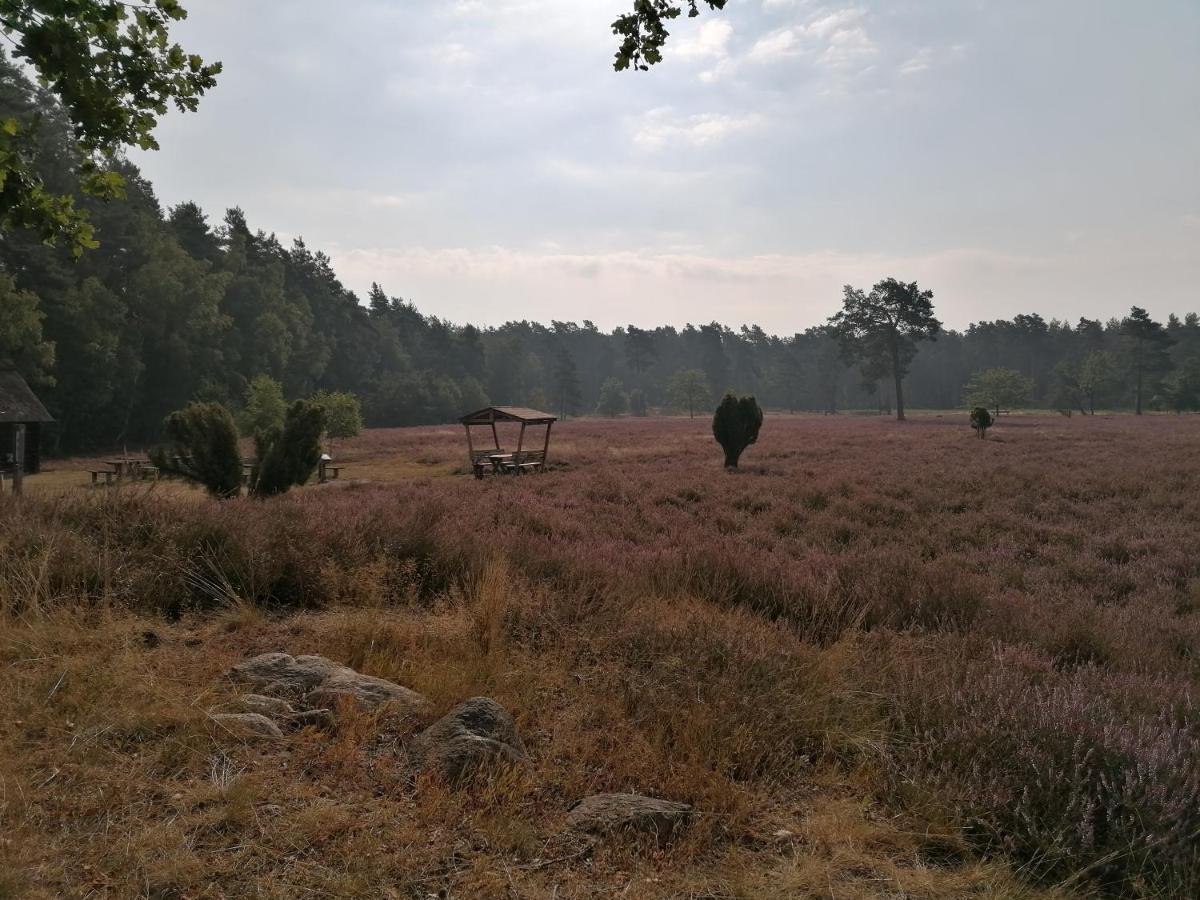 Strohböhn Lägenhet Oldendorf  Exteriör bild